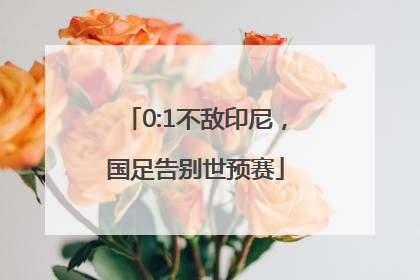 0:1不敌印尼，国足告别世预赛