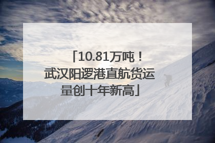 10.81万吨！武汉阳逻港直航货运量创十年新高