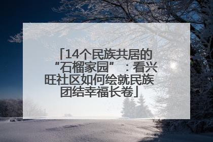 14个民族共居的“石榴家园”：看兴旺社区如何绘就民族团结幸福长卷