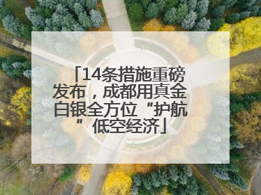 14条措施重磅发布，成都用真金白银全方位“护航”低空经济