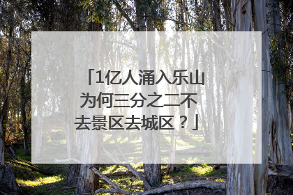 1亿人涌入乐山 为何三分之二不去景区去城区？
