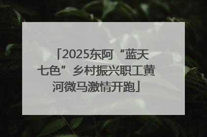2025东阿“蓝天七色”乡村振兴职工黄河微马激情开跑