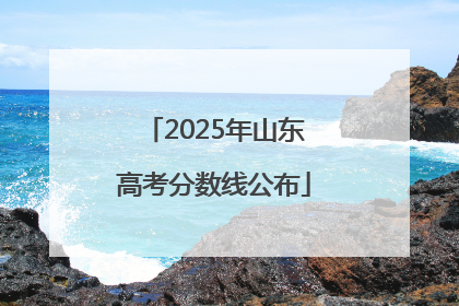 2025年山东高考分数线公布