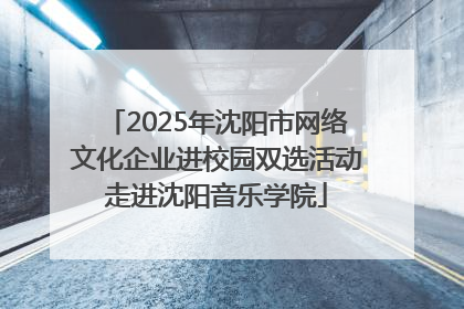 2025年沈阳市网络文化企业进校园双选活动走进沈阳音乐学院