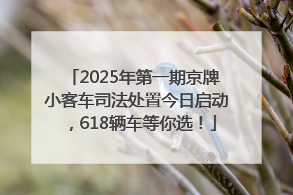 2025年第一期京牌小客车司法处置今日启动，618辆车等你选！