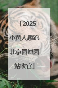 2025小黄人趣跑北京园博园站收官
