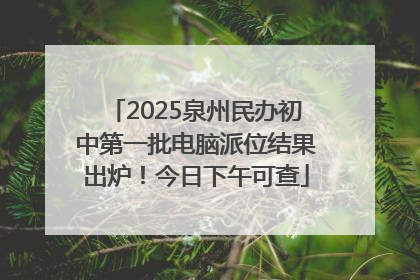 2025泉州民办初中第一批电脑派位结果出炉！今日下午可查