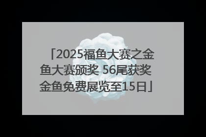 2025福鱼大赛之金鱼大赛颁奖 56尾获奖金鱼免费展览至15日