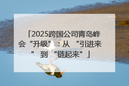 2025跨国公司青岛峰会“升级”：从 “引进来” 到 “链起来”