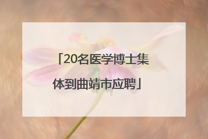20名医学博士集体到曲靖市应聘