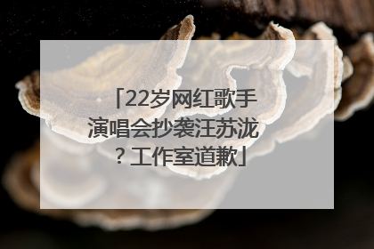 22岁网红歌手演唱会抄袭汪苏泷？工作室道歉