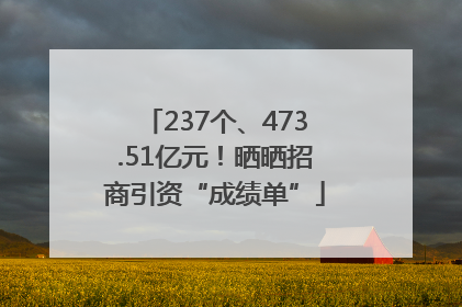 237个、473.51亿元！晒晒招商引资“成绩单”