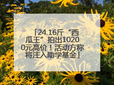 24.16斤“西瓜王”拍出10200元高价！活动方称将注入助学基金