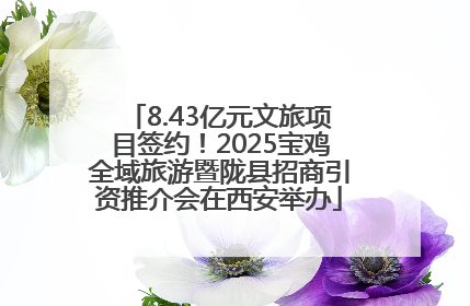 8.43亿元文旅项目签约！2025宝鸡全域旅游暨陇县招商引资推介会在西安举办