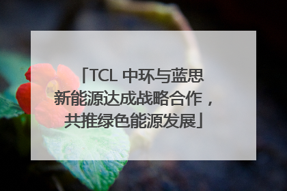 TCL 中环与蓝思新能源达成战略合作，共推绿色能源发展
